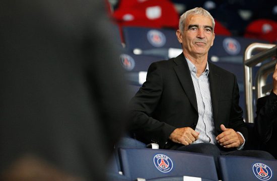 Raymond Domenech